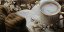 Slow Mornings, Fast Ideas: The Rituals That Inspired Mamu